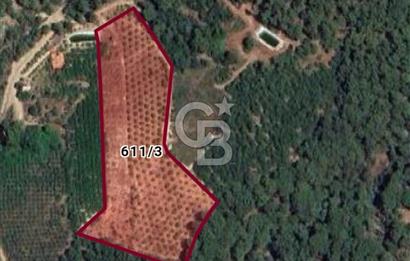 ANTALYA KUMLUCA YENİCE .K TİCARİ İMARLI SATLIK ARSA