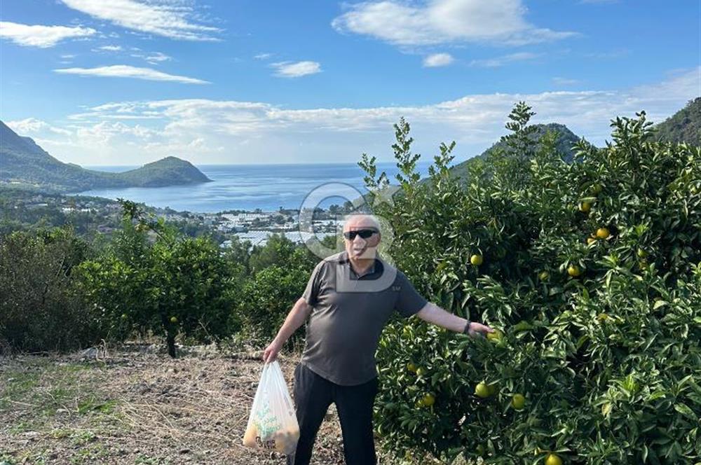ANTALYA KUMLUCA YENİCE .K TİCARİ İMARLI SATLIK ARSA
