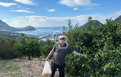 ANTALYA KUMLUCA YENİCE .K TİCARİ İMARLI SATLIK ARSA