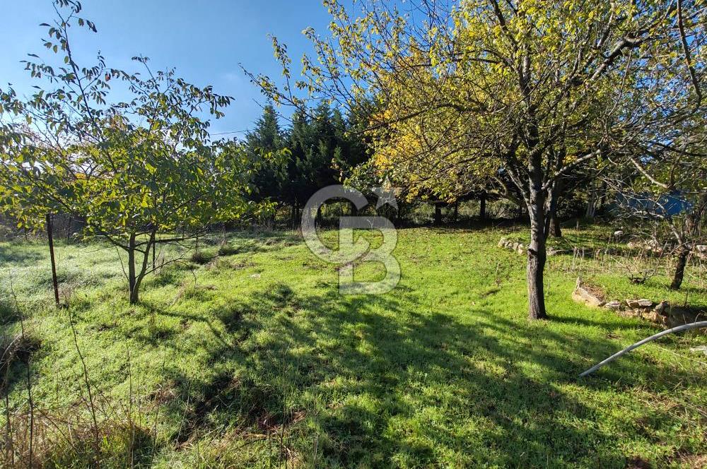 Yalova Bağ Evlerinde eşsiz bir fırsat