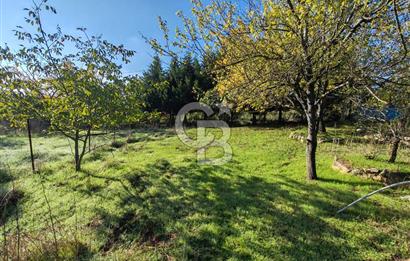 Yalova Bağ Evlerinde eşsiz bir fırsat