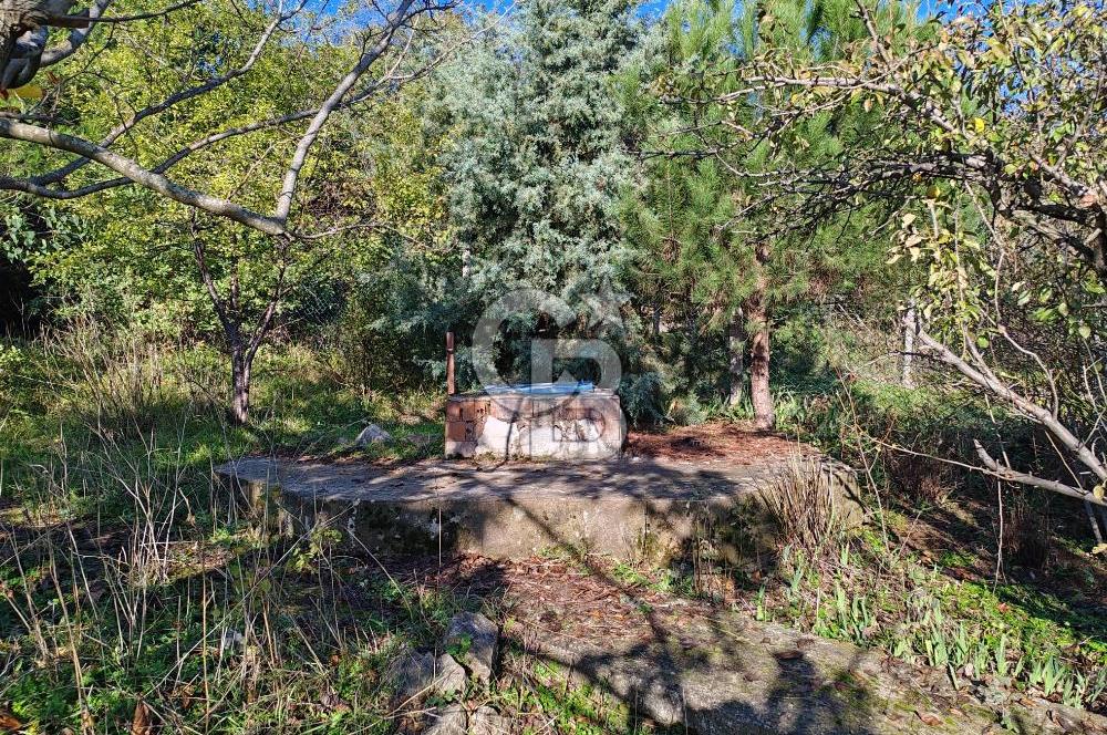 Yalova Bağ Evlerinde eşsiz bir fırsat