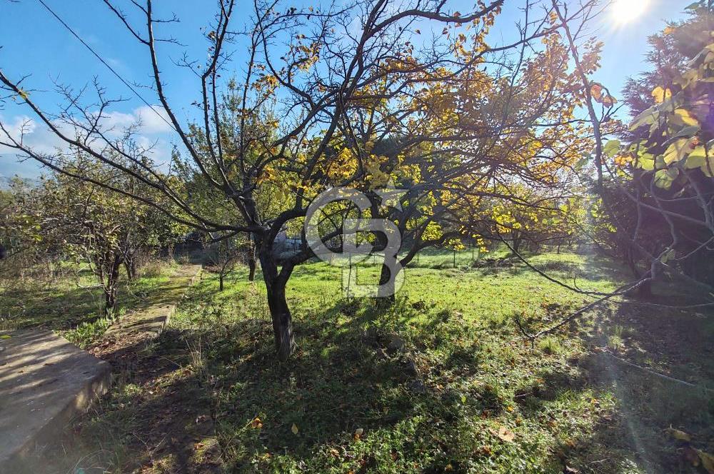 Yalova Bağ Evlerinde eşsiz bir fırsat