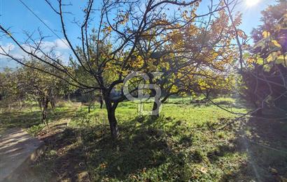 Yalova Bağ Evlerinde eşsiz bir fırsat