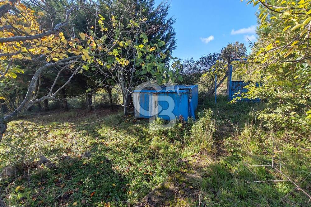 Yalova Bağ Evlerinde eşsiz bir fırsat