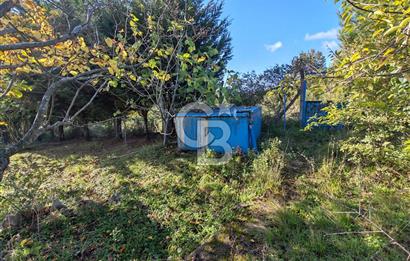 Yalova Bağ Evlerinde eşsiz bir fırsat