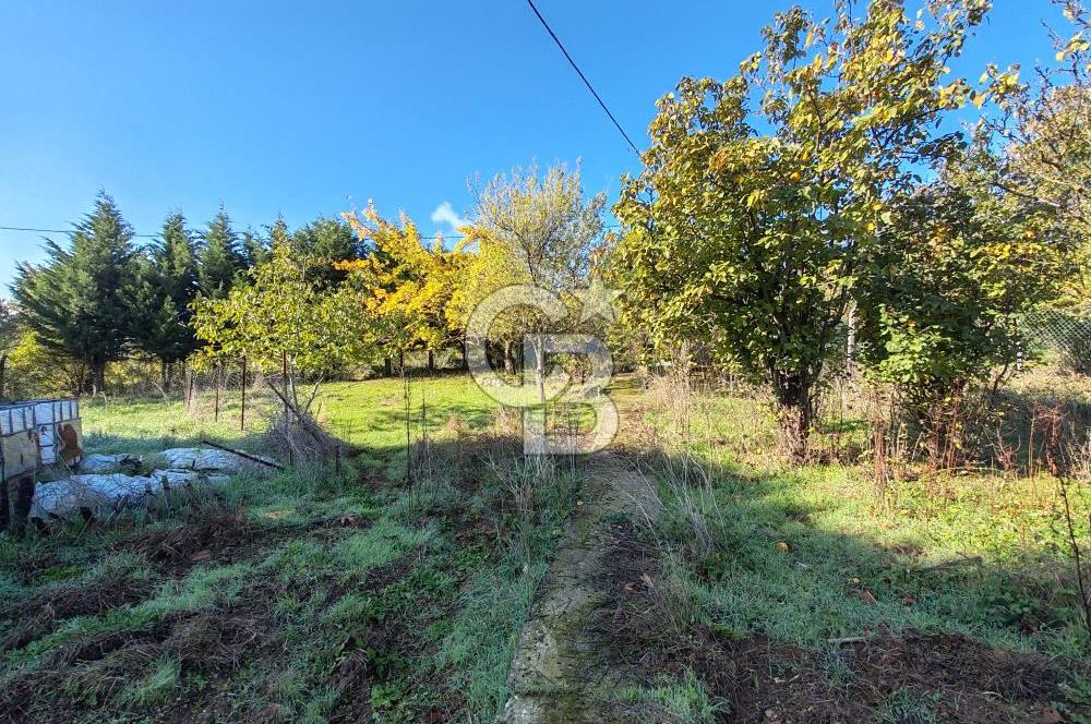 Yalova Bağ Evlerinde eşsiz bir fırsat