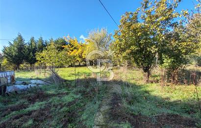 Yalova Bağ Evlerinde eşsiz bir fırsat