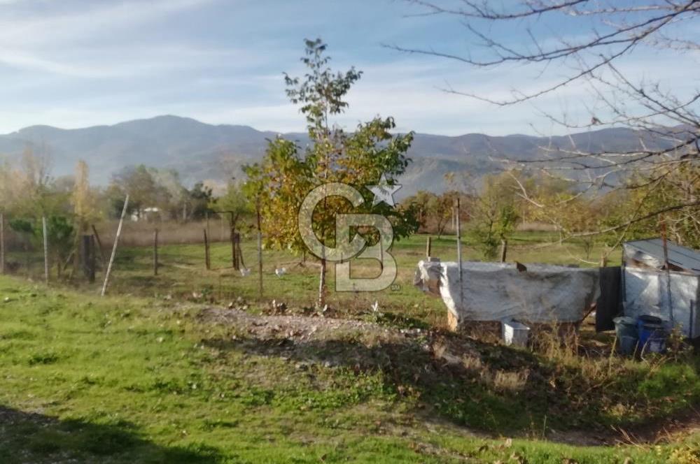 ÇOKKÖY'DE İMARLI SATILIK KÖŞE PARSEL.ASFALT YOL,ELEKTRİK,SU,EV