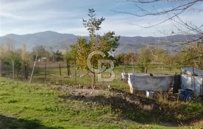 ÇOKKÖY'DE İMARLI SATILIK KÖŞE PARSEL.ASFALT YOL,ELEKTRİK,SU,EV