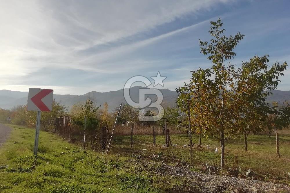 ÇOKKÖY'DE İMARLI SATILIK KÖŞE PARSEL.ASFALT YOL,ELEKTRİK,SU,EV