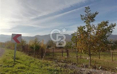 ÇOKKÖY'DE İMARLI SATILIK KÖŞE PARSEL.ASFALT YOL,ELEKTRİK,SU,EV