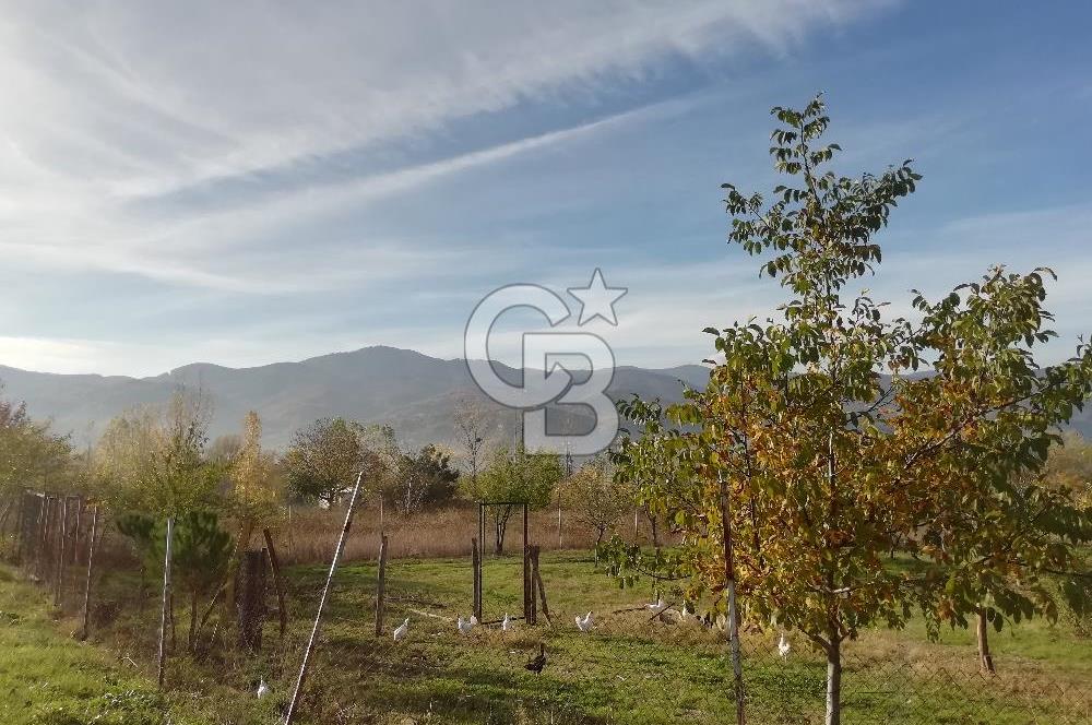 ÇOKKÖY'DE İMARLI SATILIK KÖŞE PARSEL.ASFALT YOL,ELEKTRİK,SU,EV