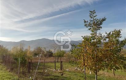 ÇOKKÖY'DE İMARLI SATILIK KÖŞE PARSEL.ASFALT YOL,ELEKTRİK,SU,EV