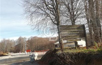 ÇOKKÖY'DE İMARLI SATILIK KÖŞE PARSEL.ASFALT YOL,ELEKTRİK,SU,EV