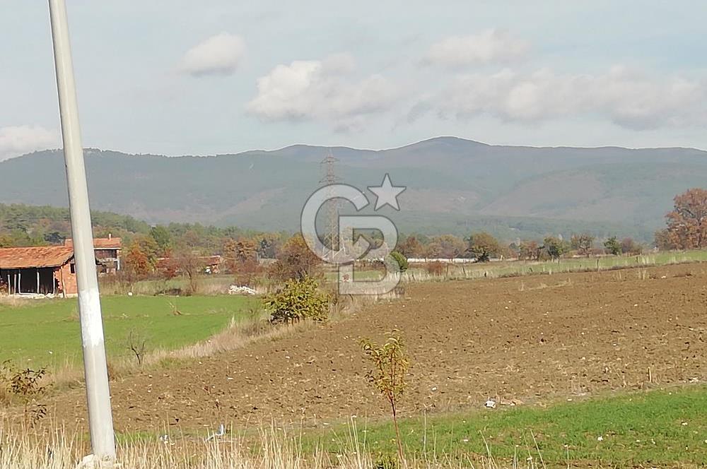 ÇOKKÖY'DE İMARLI SATILIK KÖŞE PARSEL.ASFALT YOL,ELEKTRİK,SU,EV
