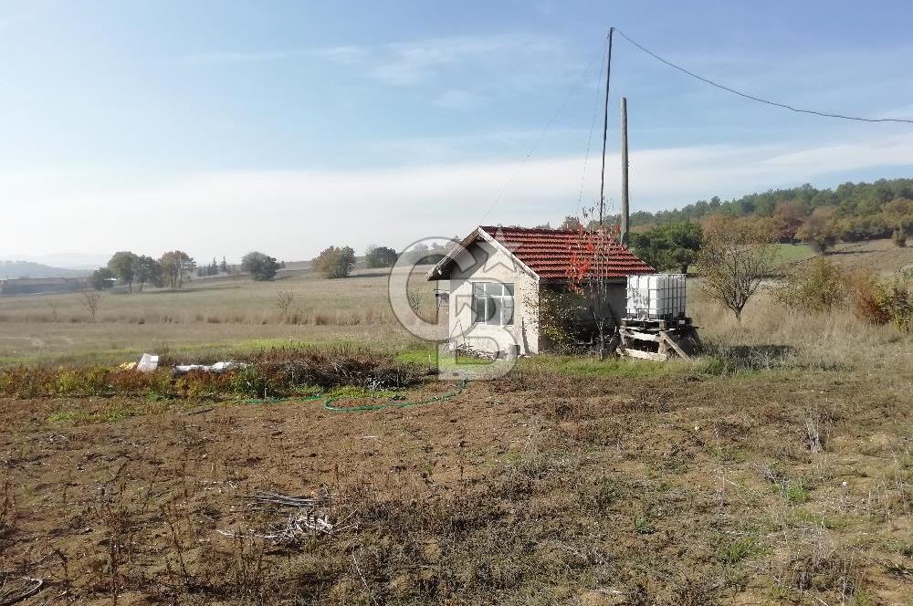 ÇOKKÖY'DE İMARLI SATILIK KÖŞE PARSEL.ASFALT YOL,ELEKTRİK,SU,EV