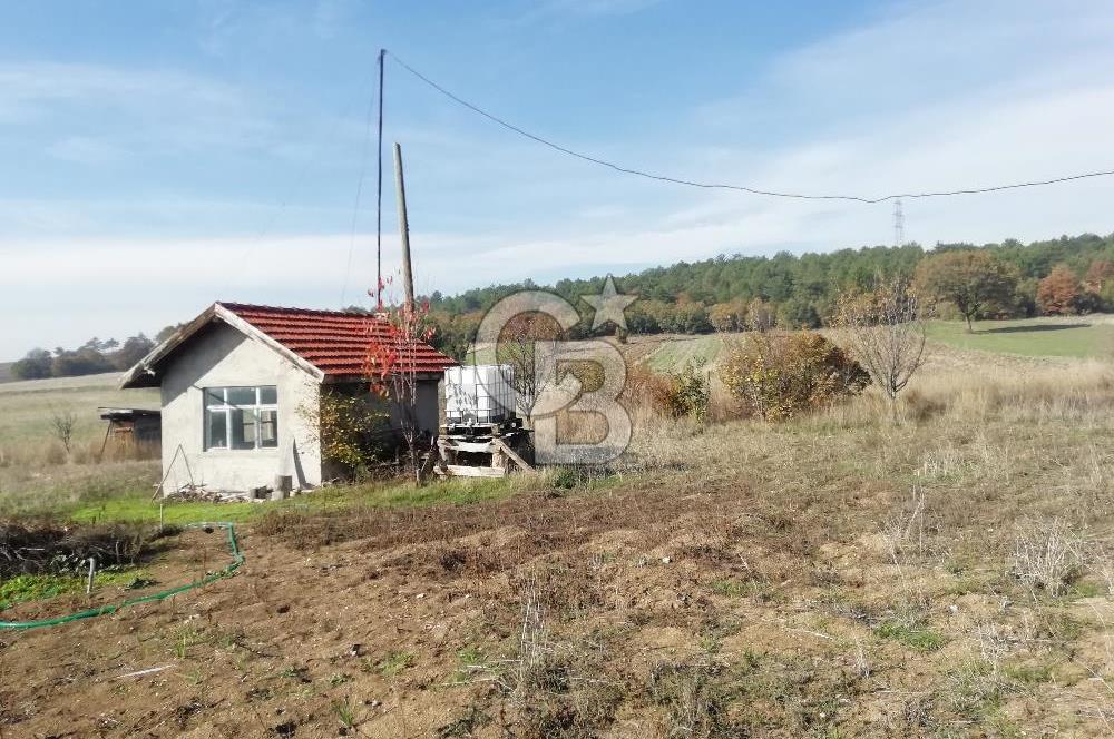 ÇOKKÖY'DE İMARLI SATILIK KÖŞE PARSEL.ASFALT YOL,ELEKTRİK,SU,EV