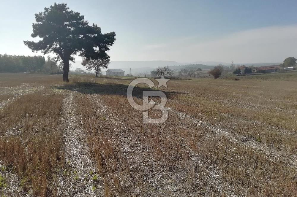 ÇOKKÖY'DE İMARLI SATILIK KÖŞE PARSEL.ASFALT YOL,ELEKTRİK,SU,EV