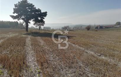 ÇOKKÖY'DE İMARLI SATILIK KÖŞE PARSEL.ASFALT YOL,ELEKTRİK,SU,EV