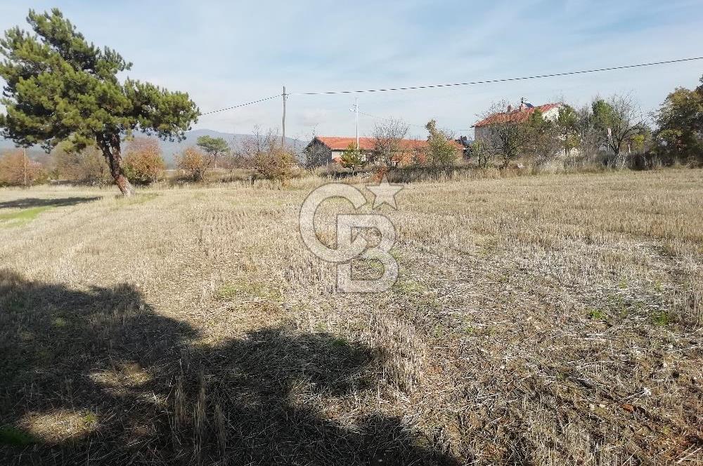 ÇOKKÖY'DE İMARLI SATILIK KÖŞE PARSEL.ASFALT YOL,ELEKTRİK,SU,EV