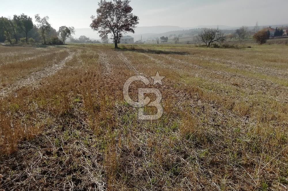 ÇOKKÖY'DE İMARLI SATILIK KÖŞE PARSEL.ASFALT YOL,ELEKTRİK,SU,EV
