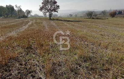 ÇOKKÖY'DE İMARLI SATILIK KÖŞE PARSEL.ASFALT YOL,ELEKTRİK,SU,EV