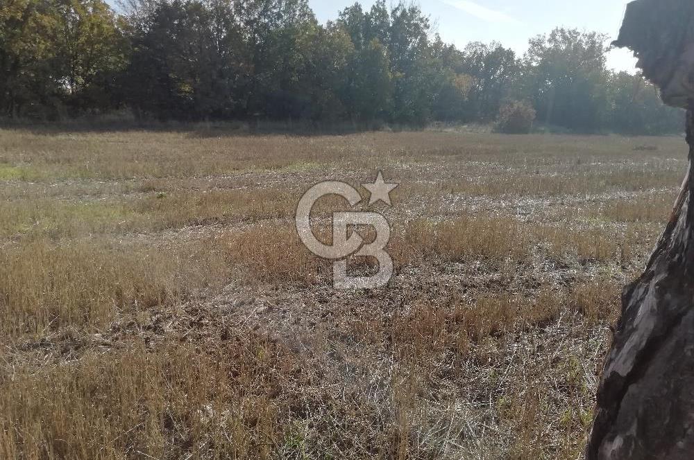 ÇOKKÖY'DE İMARLI SATILIK KÖŞE PARSEL.ASFALT YOL,ELEKTRİK,SU,EV