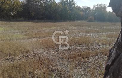 ÇOKKÖY'DE İMARLI SATILIK KÖŞE PARSEL.ASFALT YOL,ELEKTRİK,SU,EV