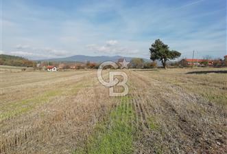 ÇOKKÖY'DE İMARLI SATILIK KÖŞE PARSEL.ASFALT YOL,ELEKTRİK,SU,EV - 1 - 318631