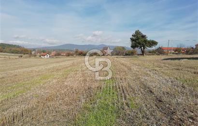 ÇOKKÖY'DE İMARLI SATILIK KÖŞE PARSEL.ASFALT YOL,ELEKTRİK,SU,EV