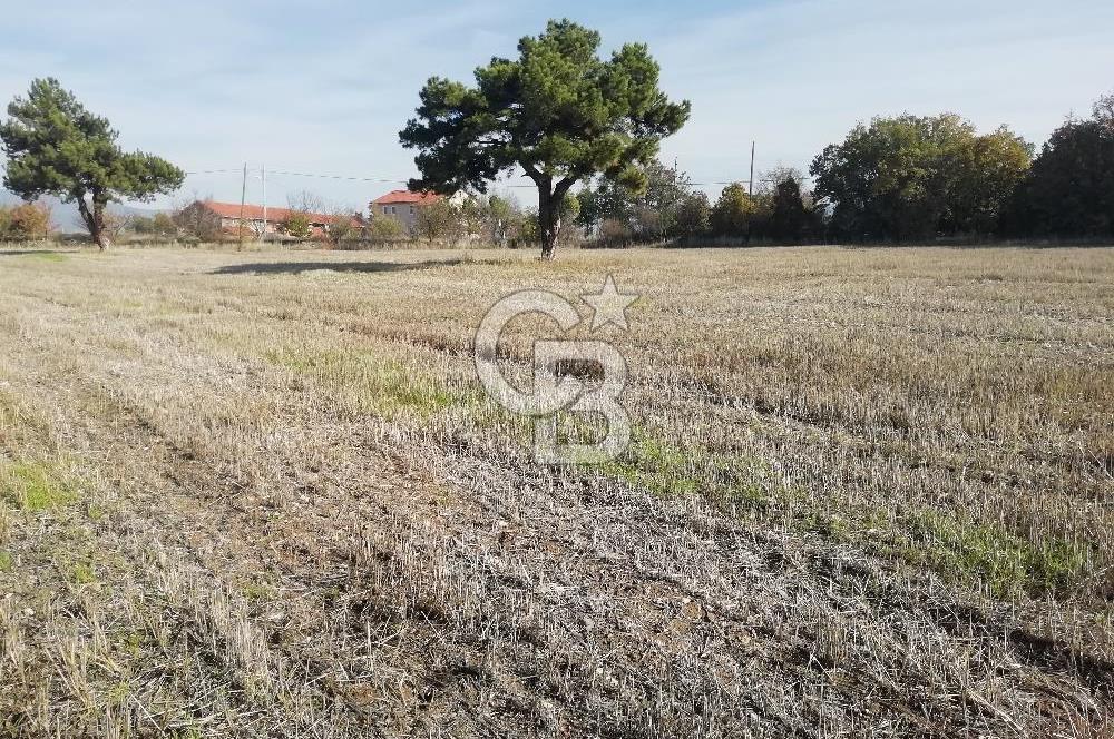 ÇOKKÖY'DE İMARLI SATILIK KÖŞE PARSEL.ASFALT YOL,ELEKTRİK,SU,EV