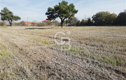 ÇOKKÖY'DE İMARLI SATILIK KÖŞE PARSEL.ASFALT YOL,ELEKTRİK,SU,EV