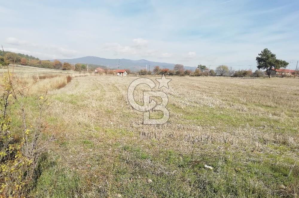 ÇOKKÖY'DE İMARLI SATILIK KÖŞE PARSEL.ASFALT YOL,ELEKTRİK,SU,EV