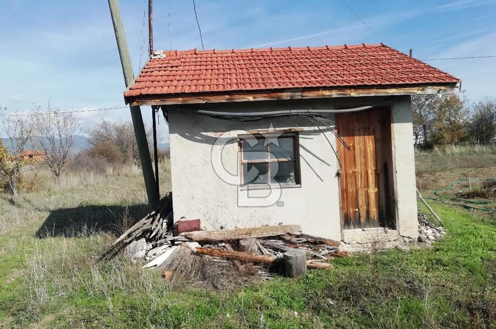 ÇOKKÖY'DE İMARLI SATILIK KÖŞE PARSEL.ASFALT YOL,ELEKTRİK,SU,EV