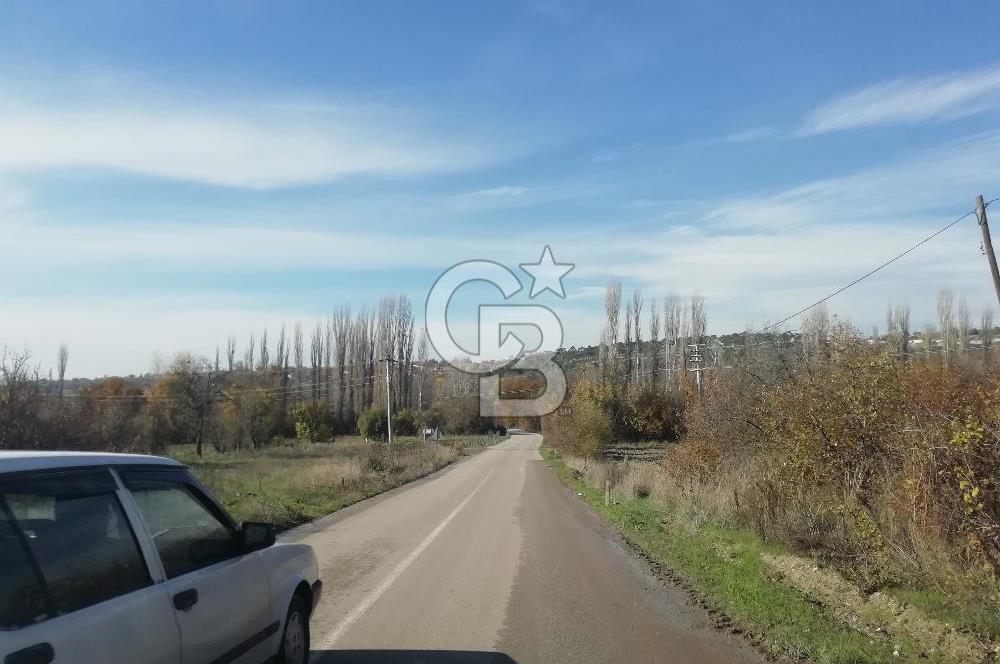 DOMANİÇ ÇAMLICA'DA ASFALT YOLLU ELEKTRİKLİ İMARLI SATILIK PARSEL