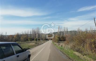 DOMANİÇ ÇAMLICA'DA ASFALT YOLLU ELEKTRİKLİ İMARLI SATILIK PARSEL