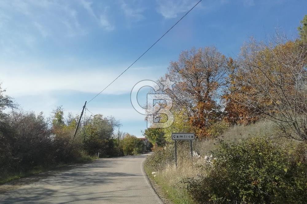 DOMANİÇ ÇAMLICA'DA ASFALT YOLLU ELEKTRİKLİ İMARLI SATILIK PARSEL