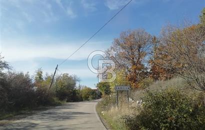 DOMANİÇ ÇAMLICA'DA ASFALT YOLLU ELEKTRİKLİ İMARLI SATILIK PARSEL