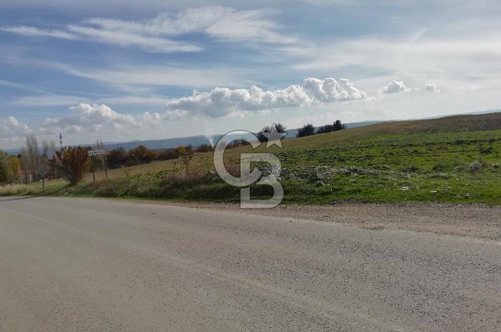 DOMANİÇ ÇAMLICA'DA ASFALT YOLLU ELEKTRİKLİ İMARLI SATILIK PARSEL