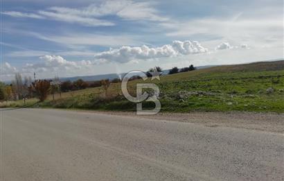 DOMANİÇ ÇAMLICA'DA ASFALT YOLLU ELEKTRİKLİ İMARLI SATILIK PARSEL