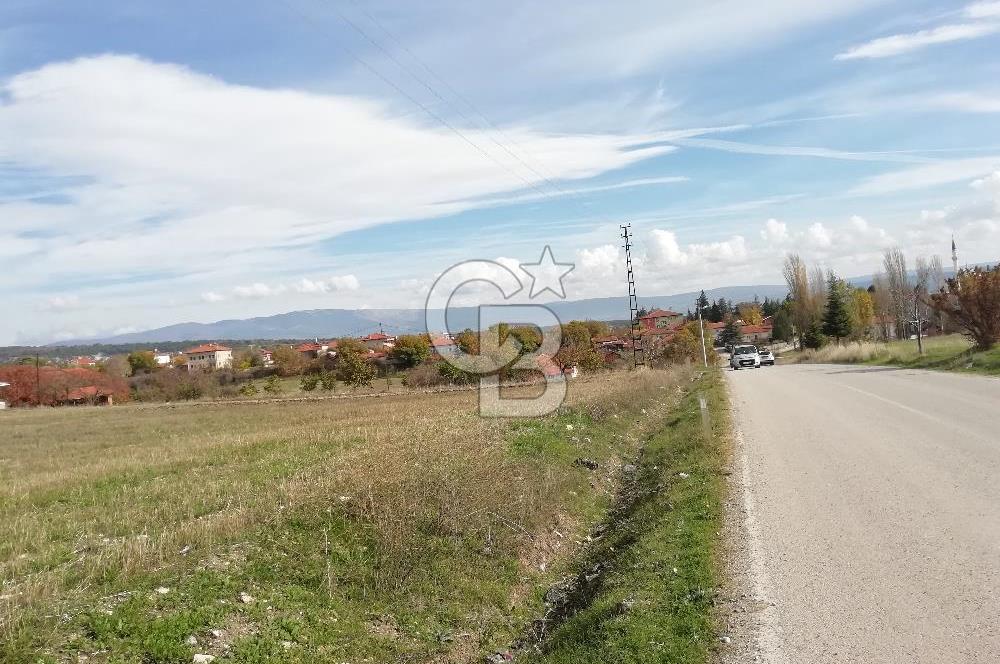 DOMANİÇ ÇAMLICA'DA ASFALT YOLLU ELEKTRİKLİ İMARLI SATILIK PARSEL