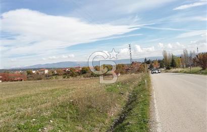 DOMANİÇ ÇAMLICA'DA ASFALT YOLLU ELEKTRİKLİ İMARLI SATILIK PARSEL