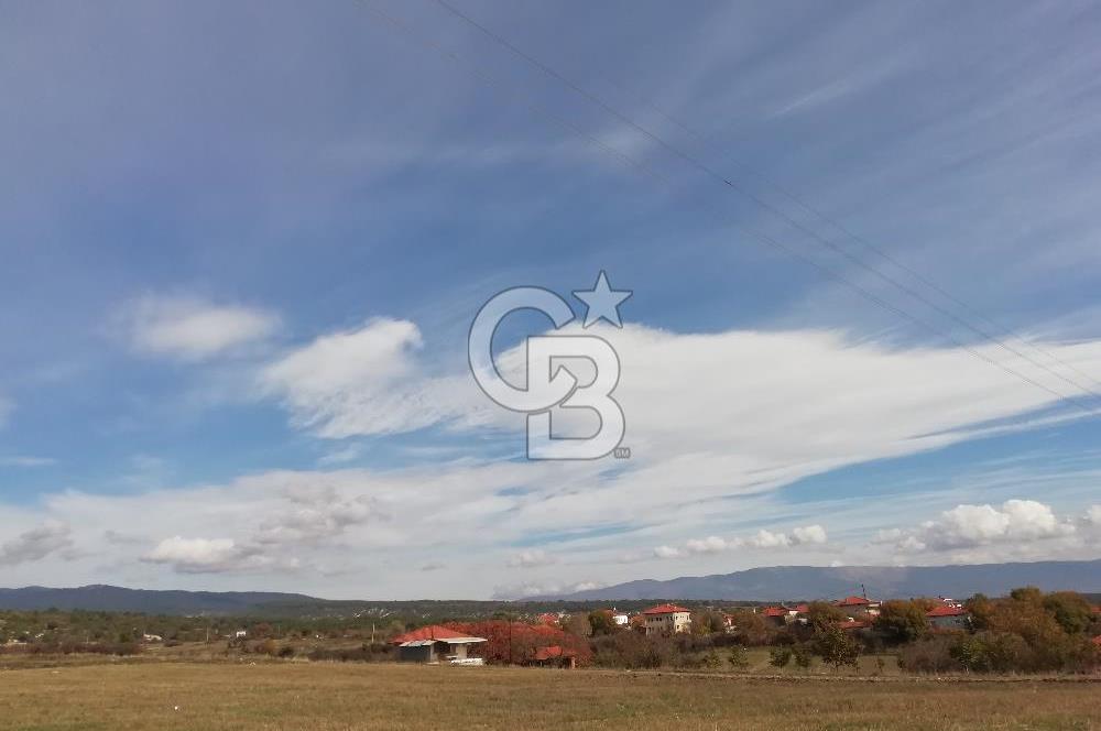 DOMANİÇ ÇAMLICA'DA ASFALT YOLLU ELEKTRİKLİ İMARLI SATILIK PARSEL