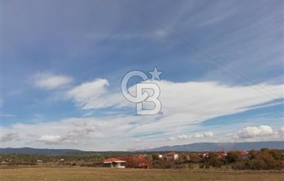 DOMANİÇ ÇAMLICA'DA ASFALT YOLLU ELEKTRİKLİ İMARLI SATILIK PARSEL