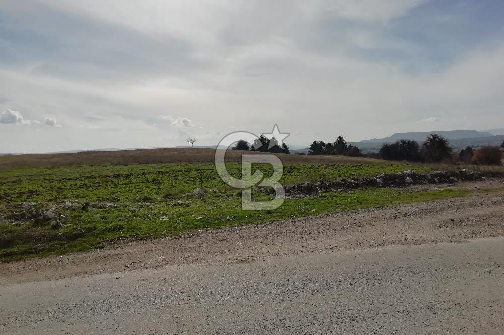 DOMANİÇ ÇAMLICA'DA ASFALT YOLLU ELEKTRİKLİ İMARLI SATILIK PARSEL