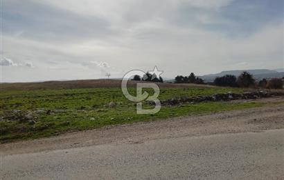 DOMANİÇ ÇAMLICA'DA ASFALT YOLLU ELEKTRİKLİ İMARLI SATILIK PARSEL