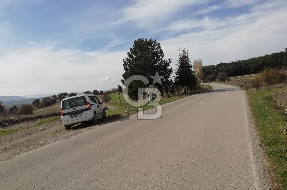 DOMANİÇ ÇAMLICA'DA ASFALT YOLLU ELEKTRİKLİ İMARLI SATILIK PARSEL