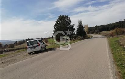 DOMANİÇ ÇAMLICA'DA ASFALT YOLLU ELEKTRİKLİ İMARLI SATILIK PARSEL