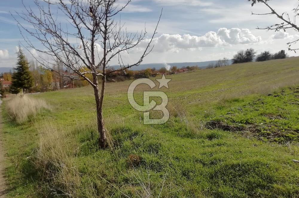 DOMANİÇ ÇAMLICA'DA ASFALT YOLLU ELEKTRİKLİ İMARLI SATILIK PARSEL